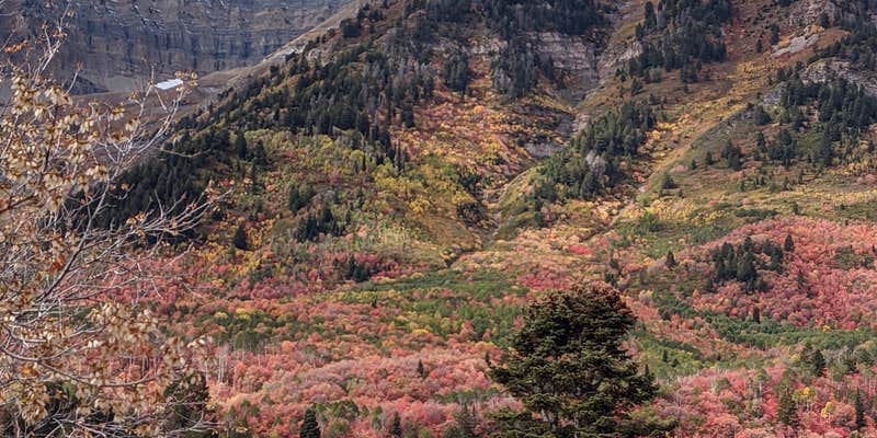 Camper submitted image from Big Lake Cua Dispersed