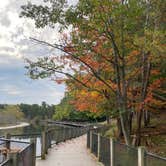 Review photo of Cedar Campground — Ludington State Park by Emily , November 15, 2021