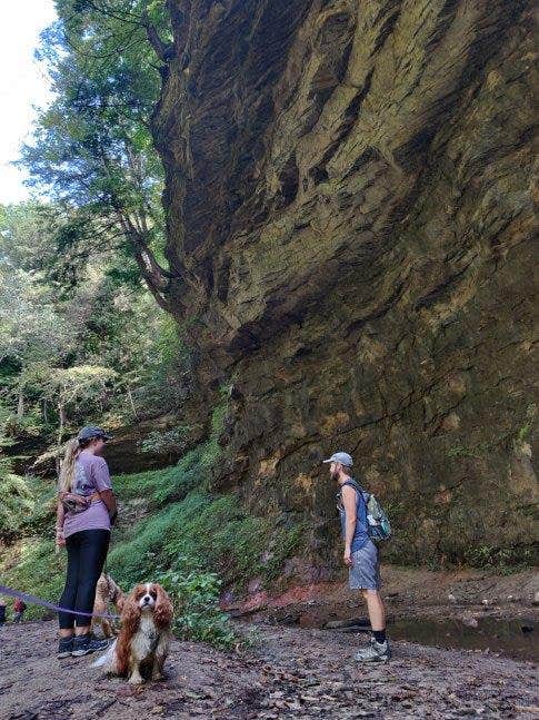 Emily's photo of camping with pets at Turkey Run State Park Campground near Brownsburg, IN