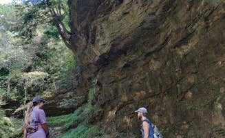 Emily's photo of camping with pets at Turkey Run State Park Campground near Independence, IN