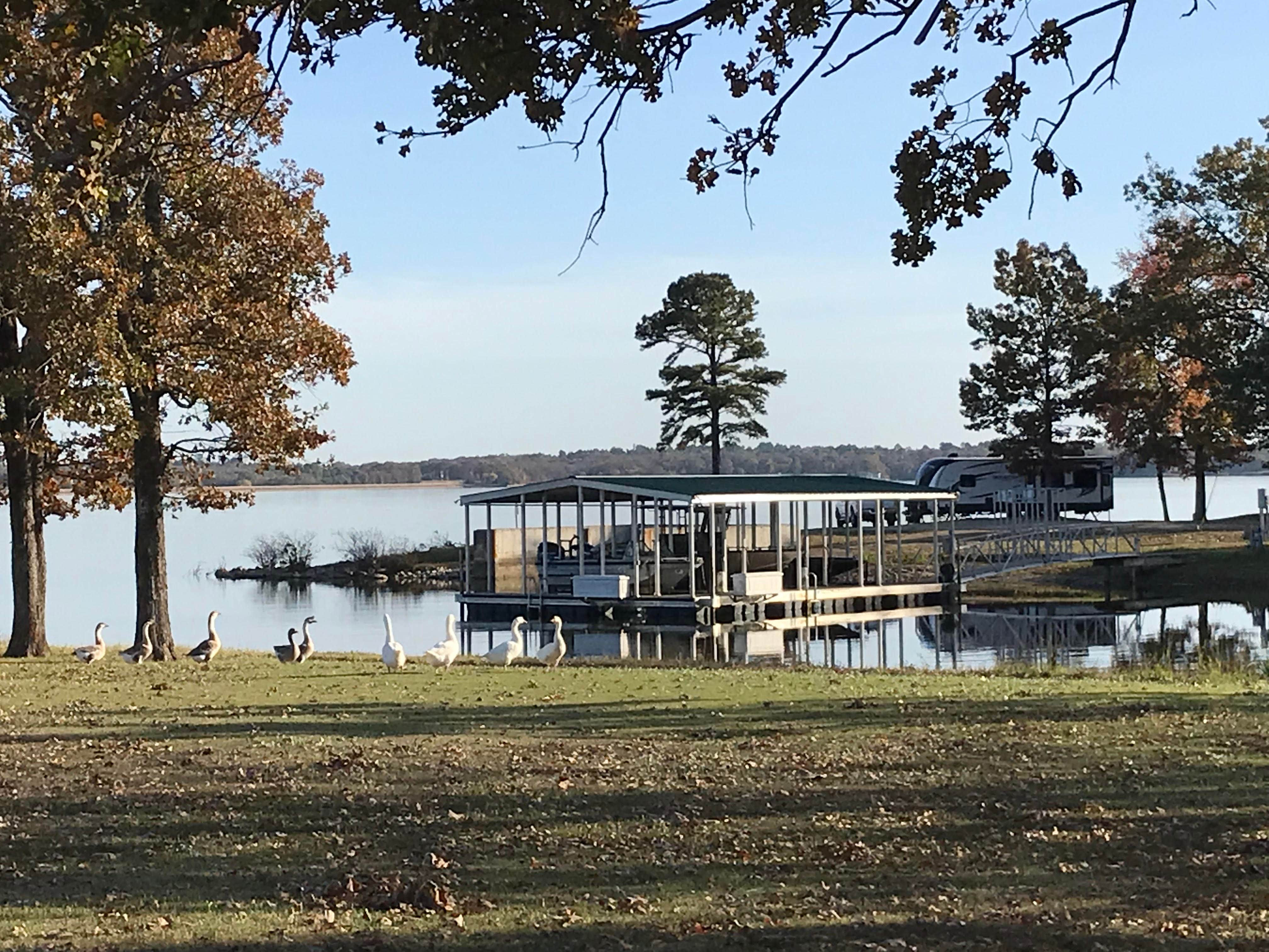 Camper submitted image from Public Ramp 1 Titus County Freshwater Supply District - 3