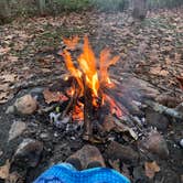 Review photo of Oronoco Campground by Rylee C., November 15, 2021