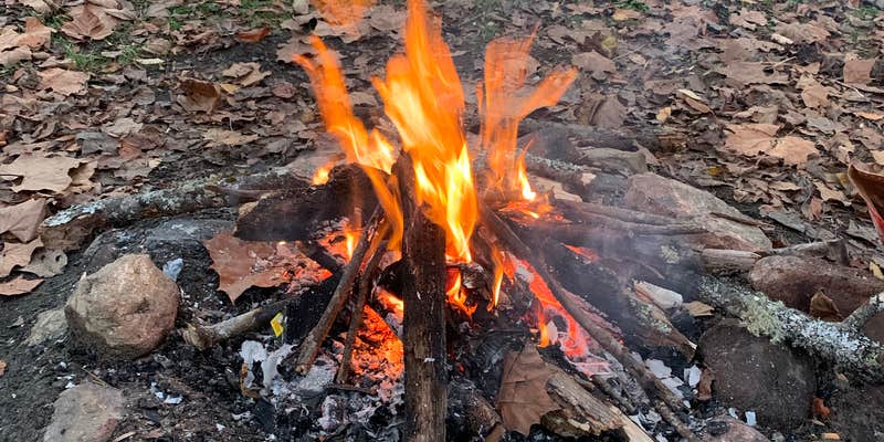 Camper submitted image from Oronoco Campground