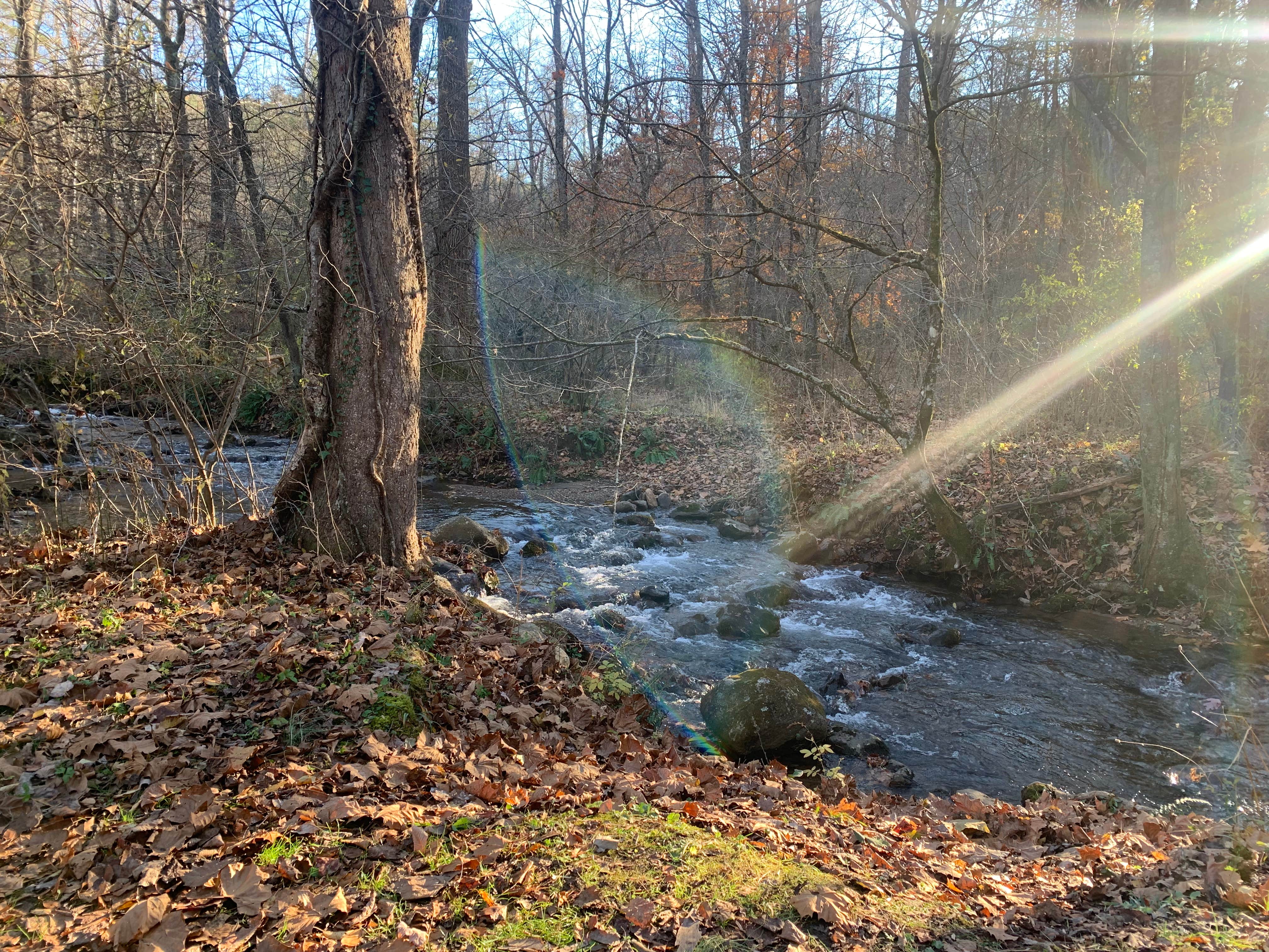 Camper-submitted photo at Oronoco Campground near Steeles Tavern, VA