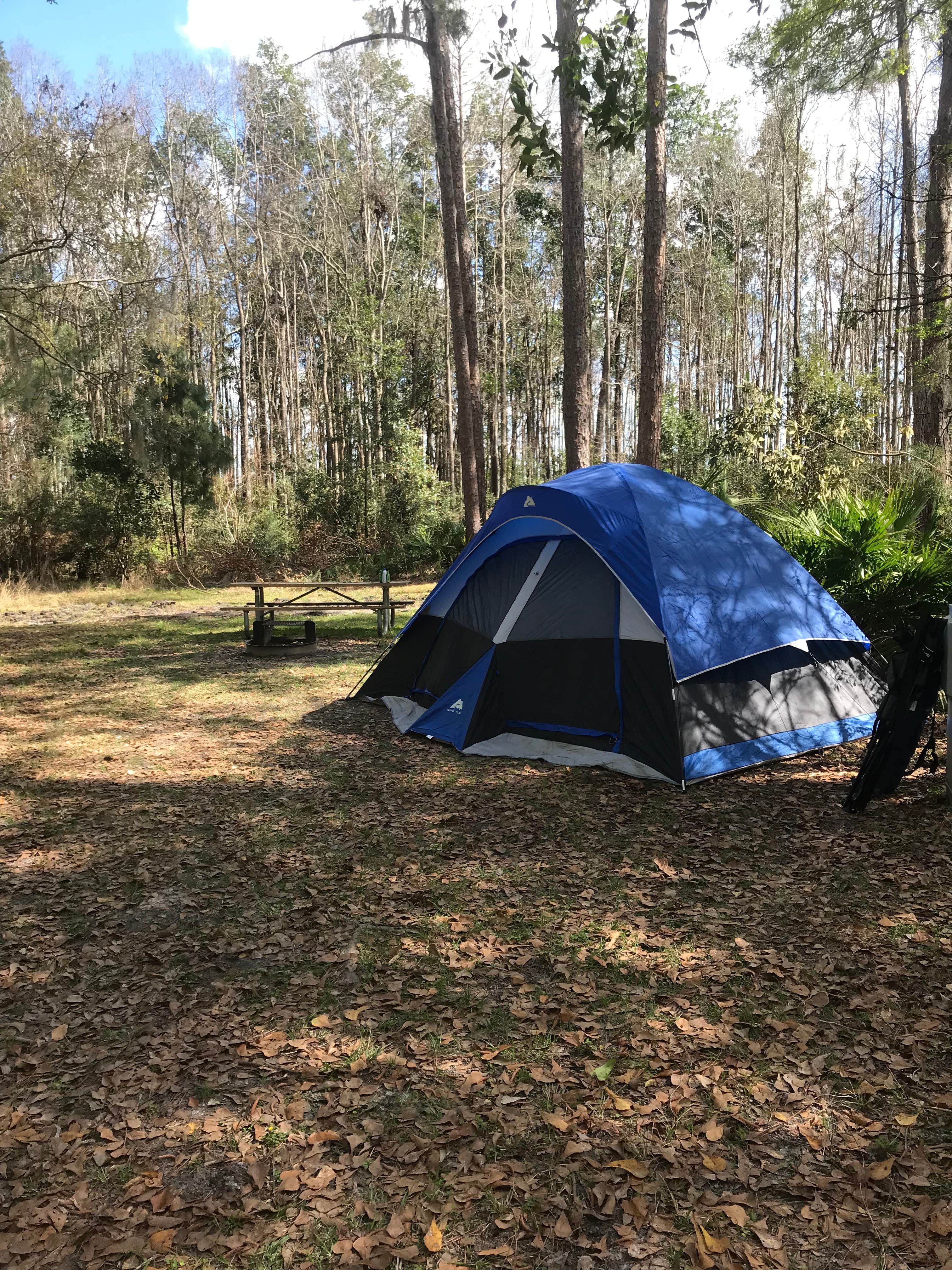 Kayla B.'s photo at Stephen C. Foster State Park Campground near Waycross, GA