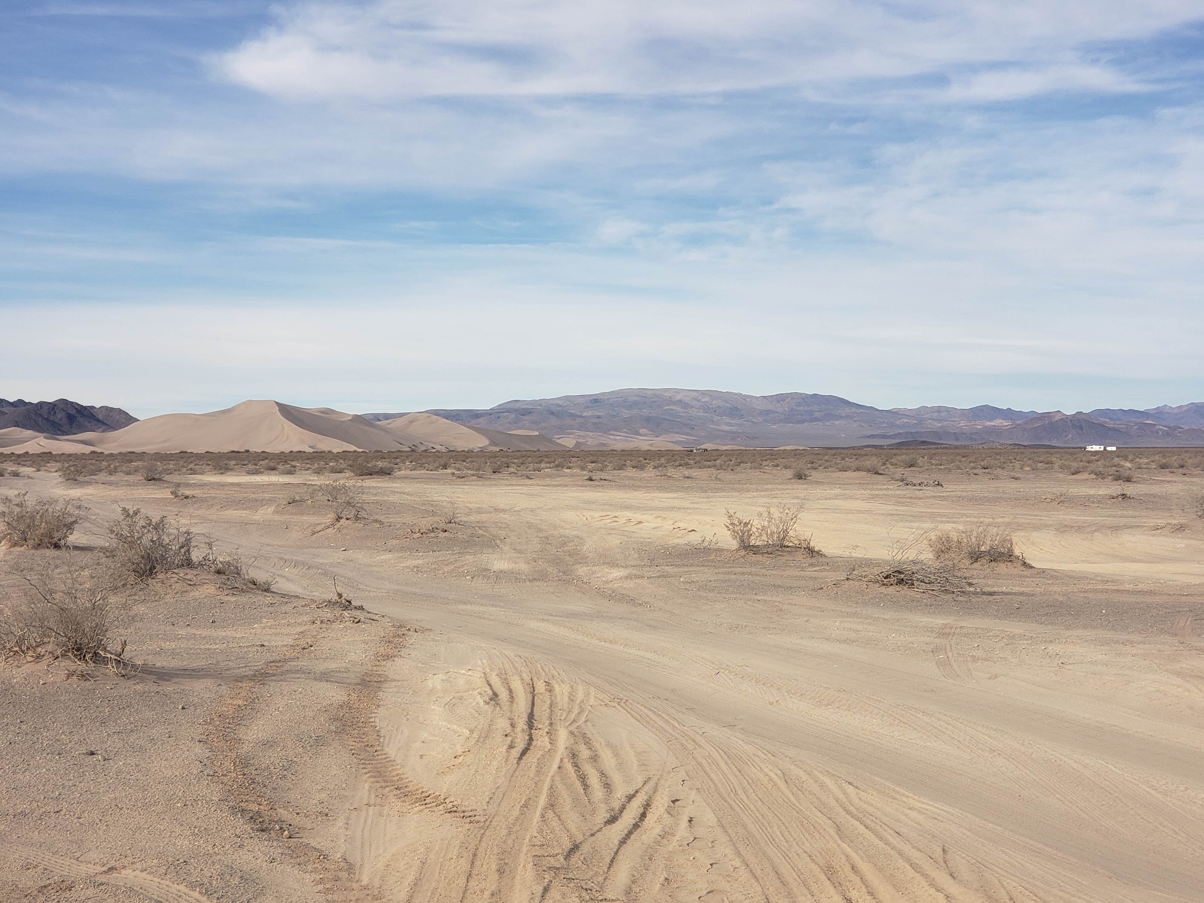 Camper-submitted photo at Big Dune Recreation Area near Beatty, NV