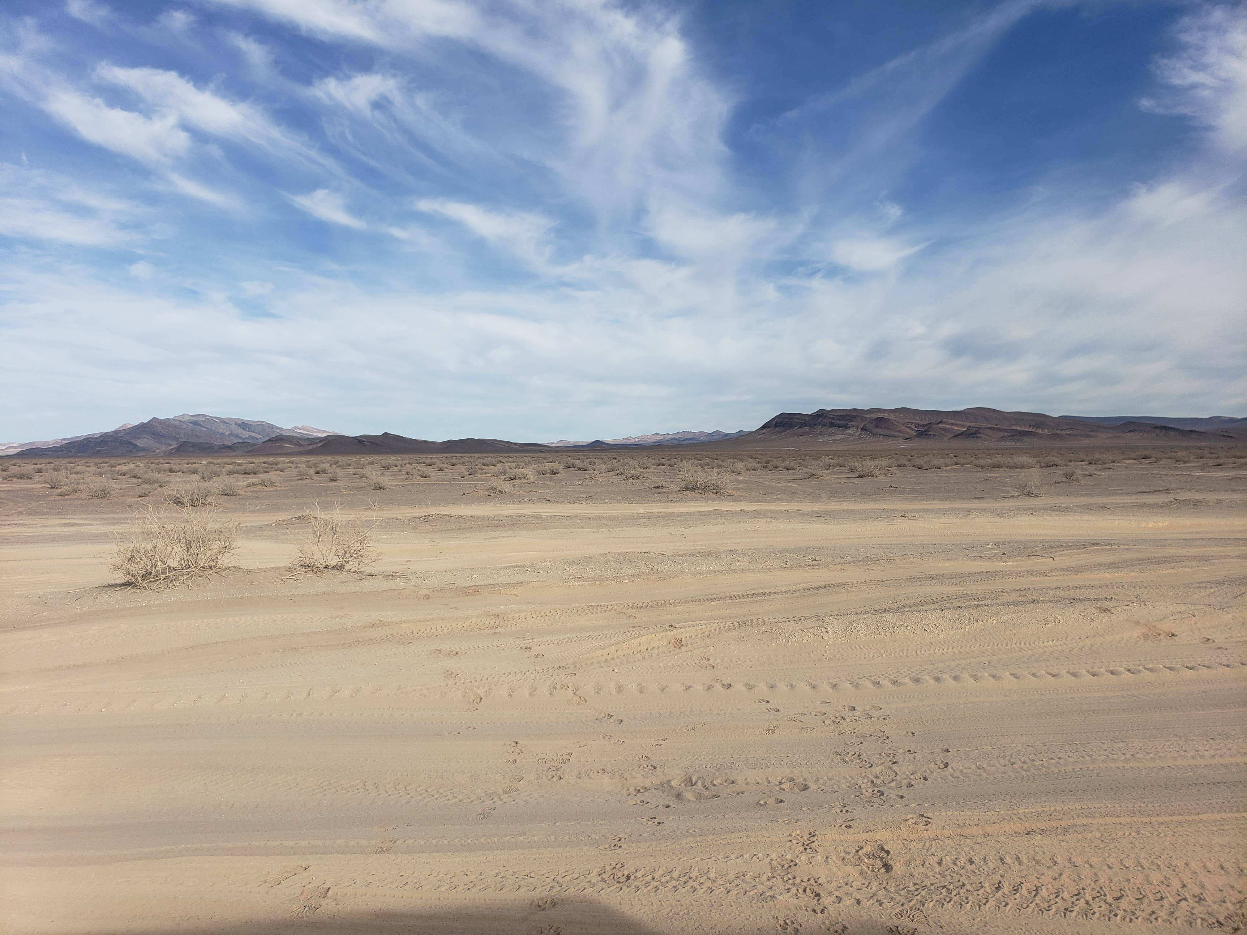 Camper-submitted photo at Big Dune Recreation Area near Beatty, NV