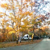 Review photo of Big Ridge State Park Campground by Bill M., November 15, 2021