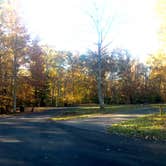 Review photo of Brick House Campground by Bill M., November 15, 2021