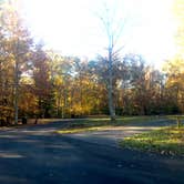 Review photo of Brick House Campground (Sc) — Francis Marion And Sumter National Forests by Bill M., November 15, 2021