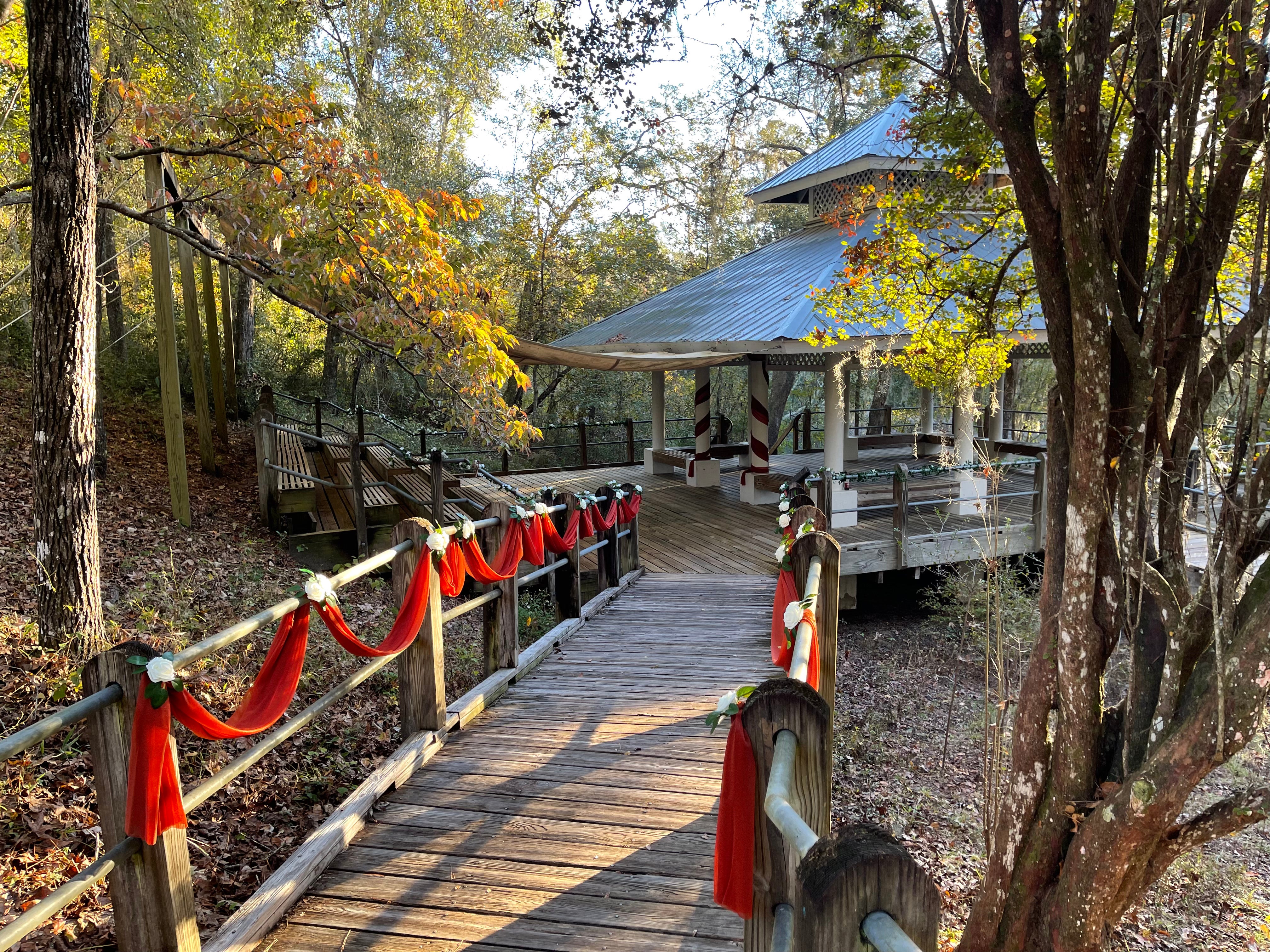 Camper submitted image from Stephen Foster Folk Culture Center State Park Campground - 4