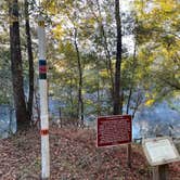 Review photo of Stephen Foster Folk Culture Center State Park Campground by Steve G., November 15, 2021