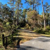 Review photo of Stephen Foster Folk Culture Center State Park Campground by Steve G., November 15, 2021