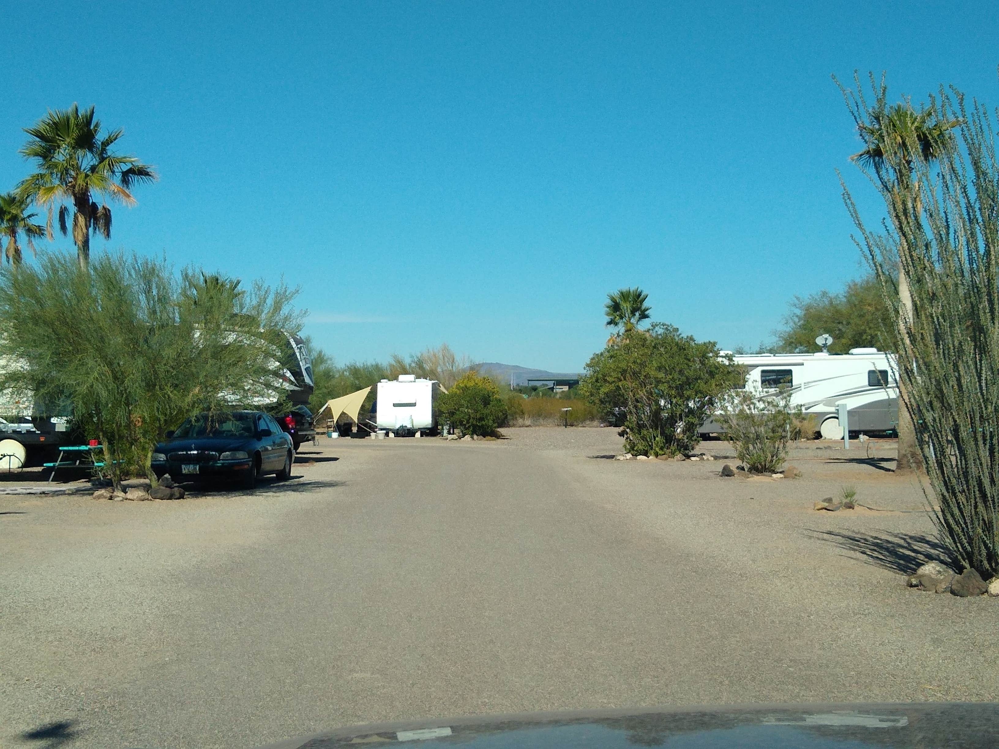 Camper-submitted photo at Coyote Howls West RV Park near Organ Pipe Cactus National Monument