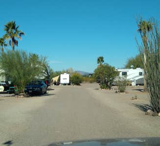 Camper-submitted photo from Coyote Howls West RV Park