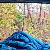 Review photo of Robbers Cave State Park — Robbers Cave State Resort Park by Stephani K., November 15, 2021