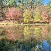 Review photo of Robbers Cave State Park — Robbers Cave State Resort Park by Stephani K., November 15, 2021