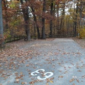 Review photo of Indiana Dunes State Park Campground by Cynthia K., November 15, 2021