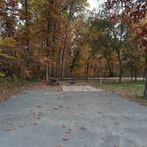 Review photo of Indiana Dunes State Park Campground by Cynthia K., November 15, 2021