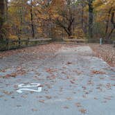 Review photo of Indiana Dunes State Park Campground by Cynthia K., November 15, 2021