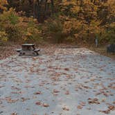 Review photo of Indiana Dunes State Park Campground by Cynthia K., November 15, 2021