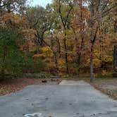 Review photo of Indiana Dunes State Park Campground by Cynthia K., November 15, 2021