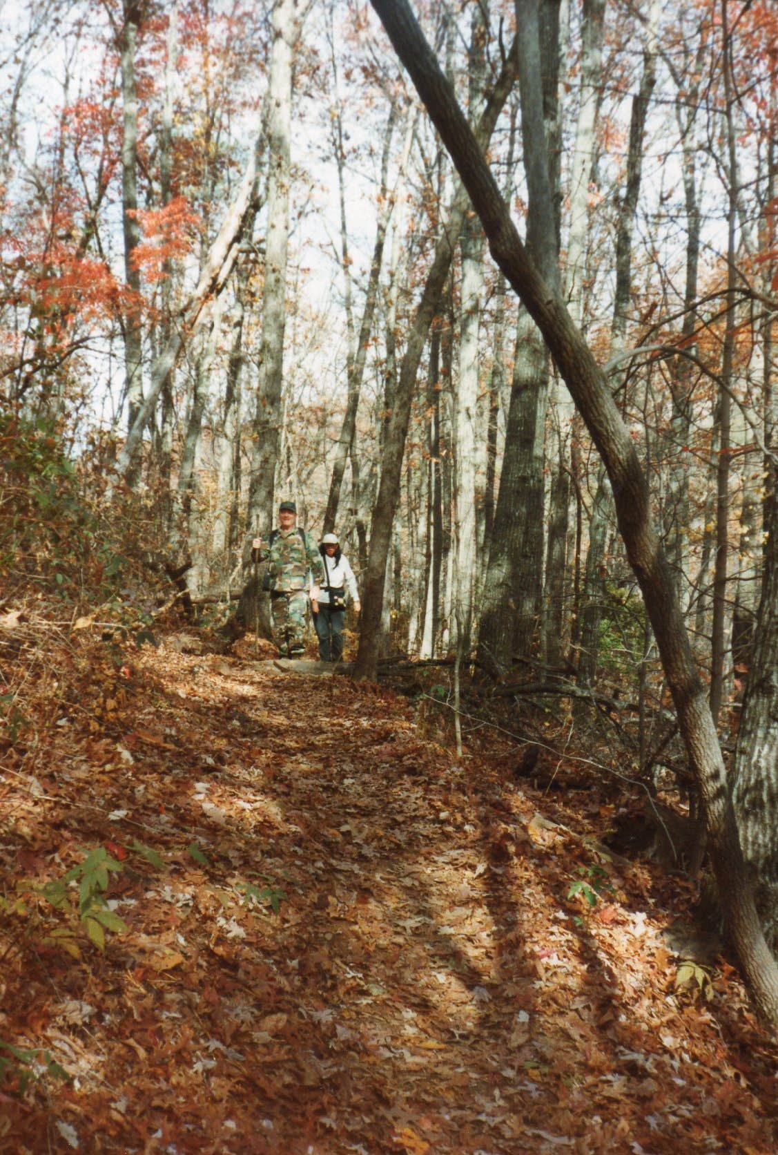 Camper submitted image from Cosby Campground — Great Smoky Mountains National Park - 3