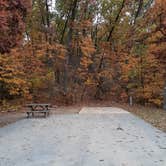 Review photo of Indiana Dunes State Park Campground by Cynthia K., November 15, 2021