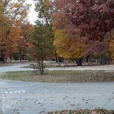 Review photo of Indiana Dunes State Park Campground by Cynthia K., November 15, 2021