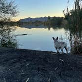 Review photo of Fortuna Pond - CLOSED by Emily T., November 15, 2021