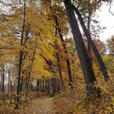 Review photo of Indiana Dunes State Park Campground by Cynthia K., November 15, 2021