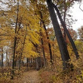 Review photo of Indiana Dunes State Park Campground by Cynthia K., November 15, 2021