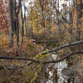 Review photo of Indiana Dunes State Park Campground by Cynthia K., November 15, 2021