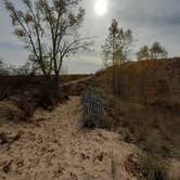 Review photo of Indiana Dunes State Park Campground by Cynthia K., November 15, 2021