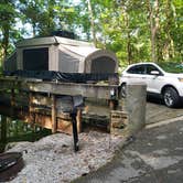 Review photo of Edgar Evins State Park Campground by Jason K., November 16, 2021