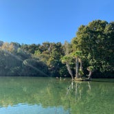 Review photo of Salt Springs Recreation Area by Lindsey H., November 16, 2021