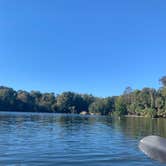 Review photo of Salt Springs Recreation Area by Lindsey H., November 16, 2021