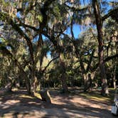 Review photo of Salt Springs Recreation Area by Lindsey H., November 16, 2021