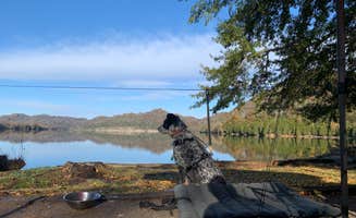Steve V.'s photo of camping with pets at Defeated Creek Campground near Lafayette, TN