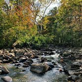 Review photo of Pigeon Creek Dispersed by Jessica W., November 16, 2021