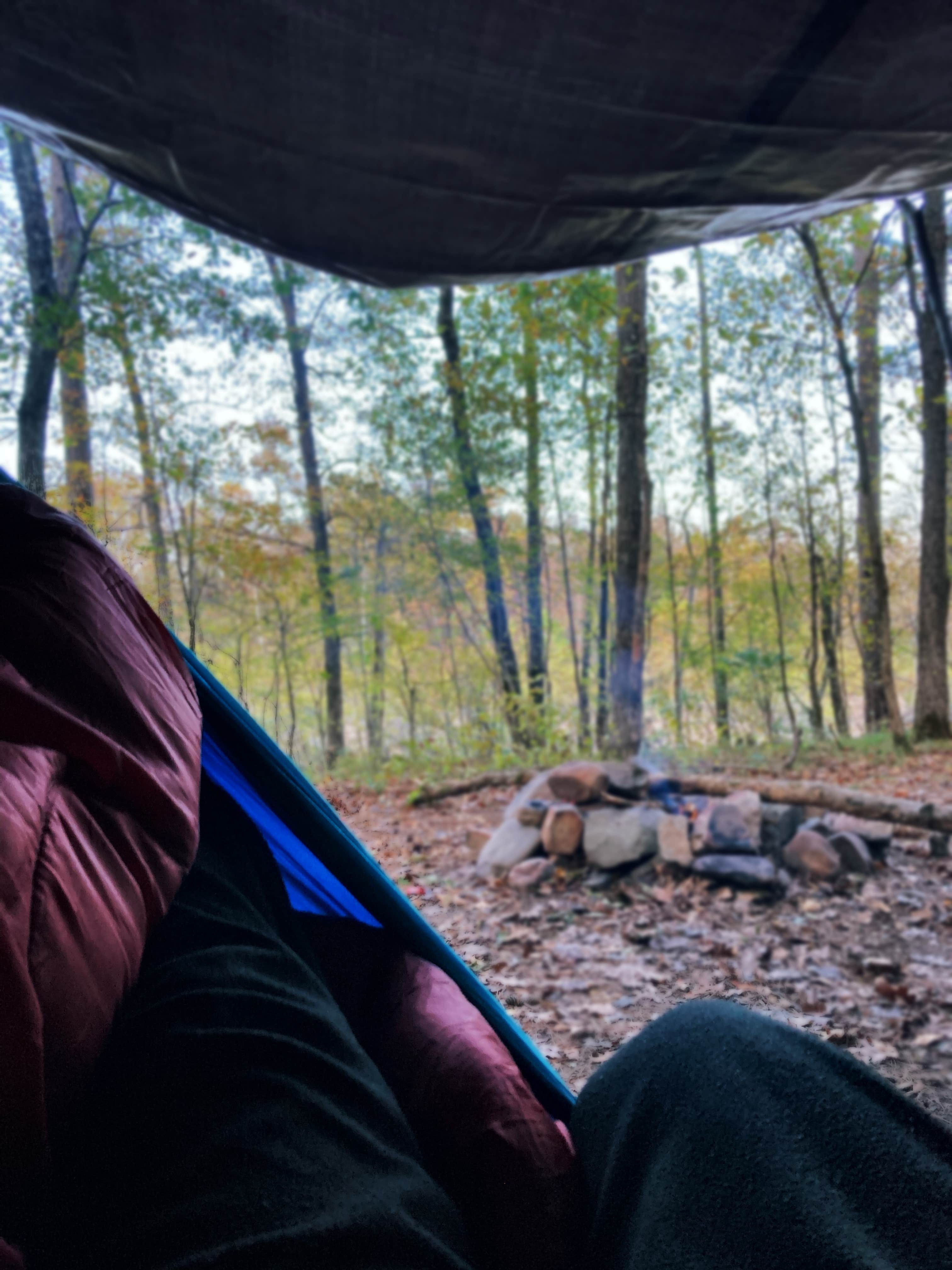 Jessica W.'s photo of tent camping at Pigeon Creek Dispersed near Vandervoort, AR