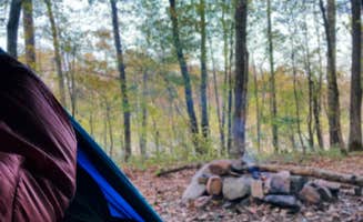 Jessica W.'s photo at Pigeon Creek Dispersed near Hodgen, OK