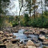 Review photo of Pigeon Creek Dispersed by Jessica W., November 16, 2021