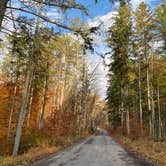 Review photo of Stokes State Forest by Jonathan L., November 16, 2021