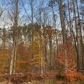 Review photo of Stokes State Forest by Jonathan L., November 16, 2021