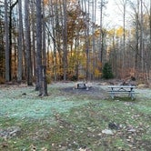 Review photo of Stokes State Forest by Jonathan L., November 16, 2021