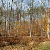 Review photo of Stokes State Forest by Jonathan L., November 16, 2021