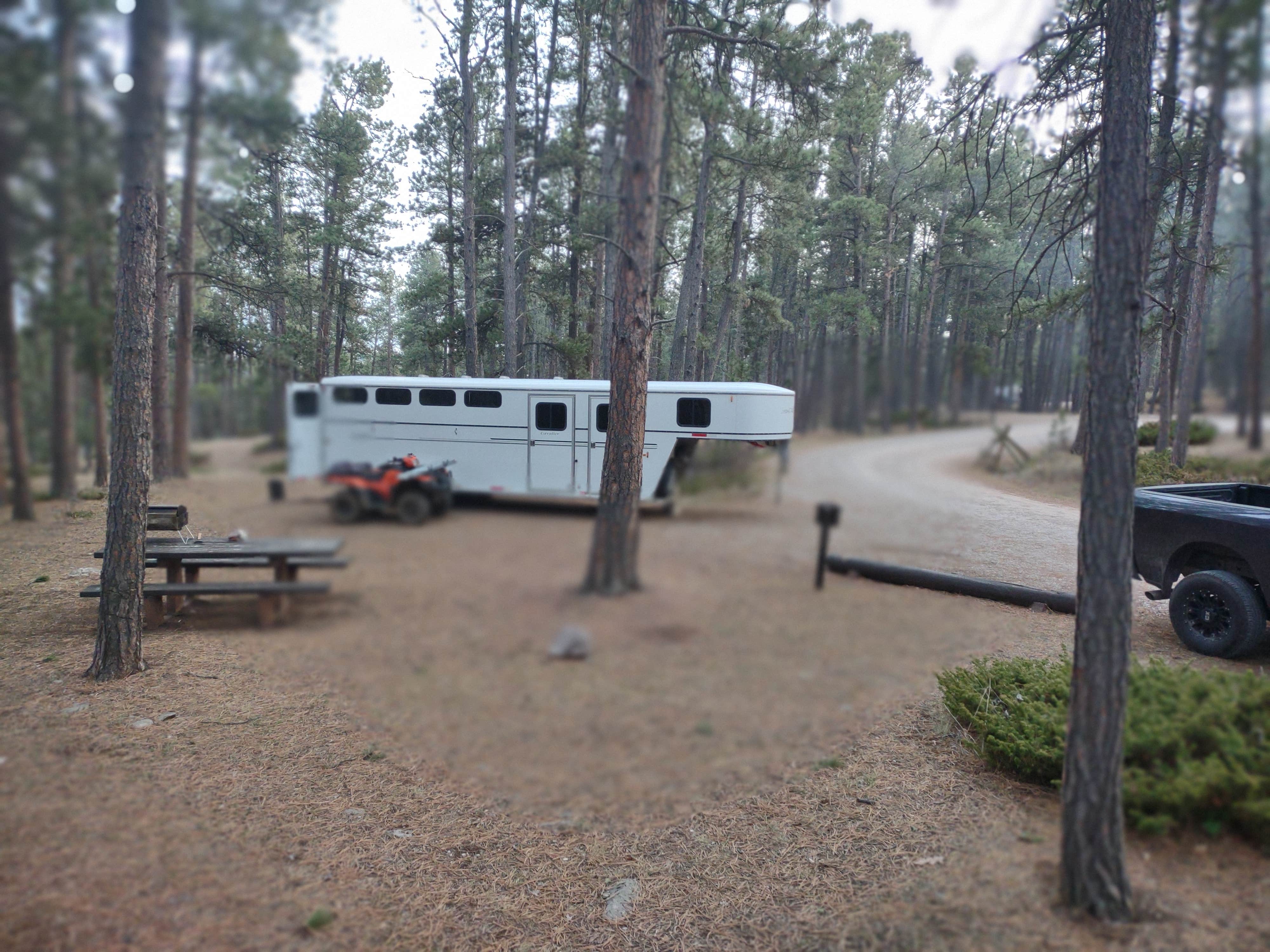 Forrest H.'s photo of rv camping at Reuter Campground near Moorcroft, WY