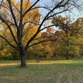 Review photo of Winterset City Park by Lai La L., October 31, 2021