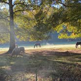 Review photo of Chickasaw State Park Campground by cassie H., November 16, 2021